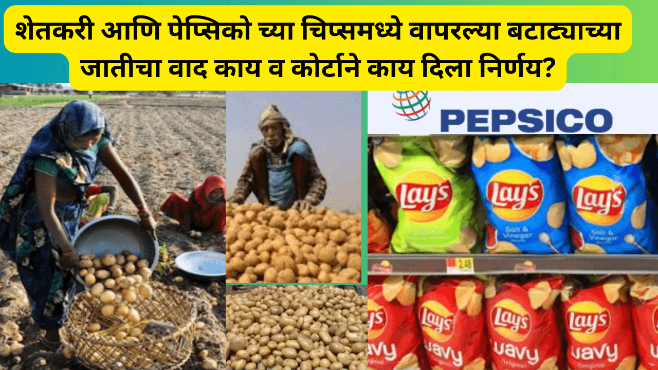 बटाटा चिप्स