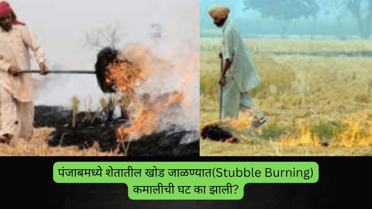 Stubble Burning