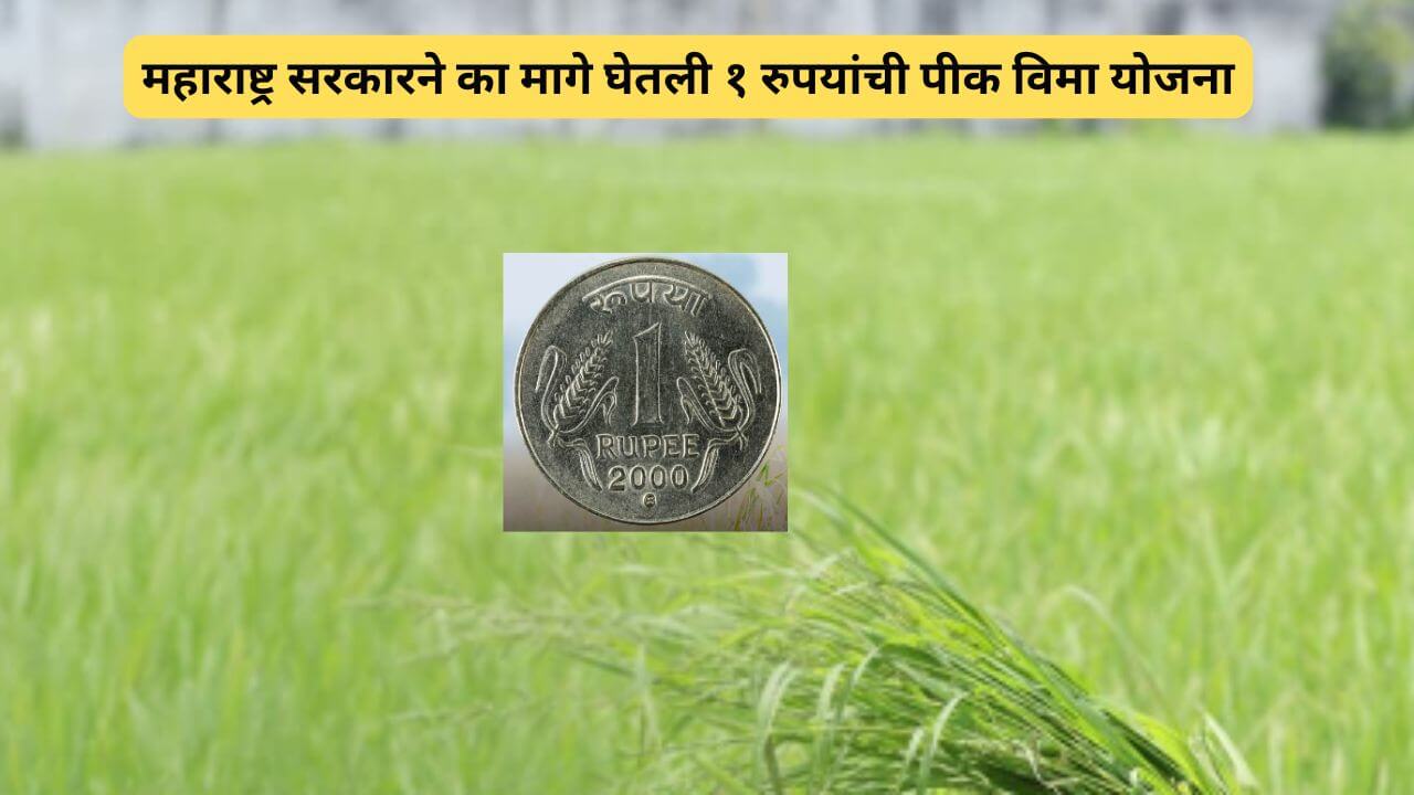 १ रुपयांची पीक विमा योजना