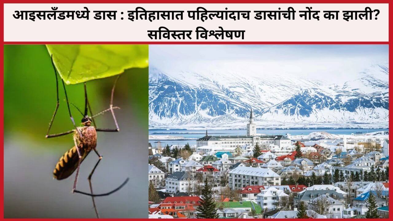 आइसलँडमध्ये डास